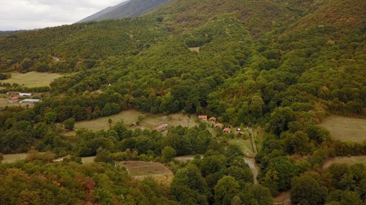 Бунгала Дара คาโลเฟอร์ ภายนอก รูปภาพ